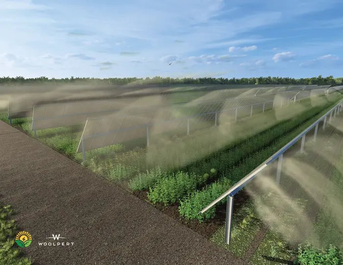 Irrigation rendering