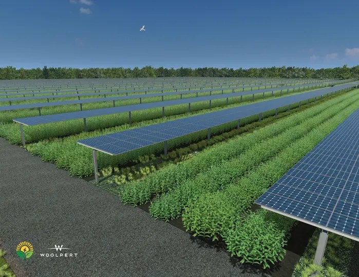 Noon horizontal solar rendering