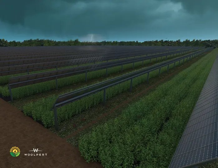 Safe stow storm rendering